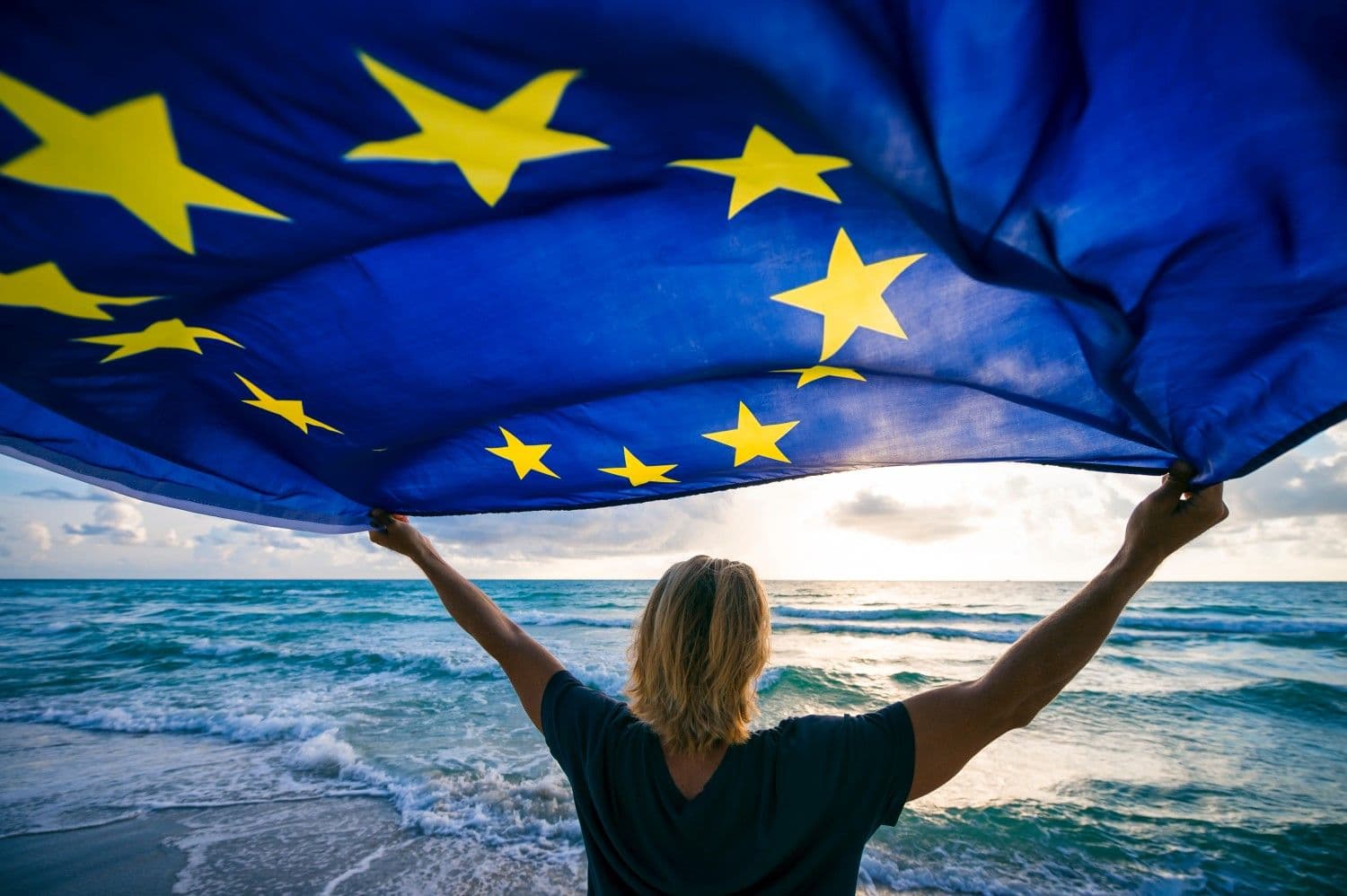 Curve Finance EURT euroe sEUR pool